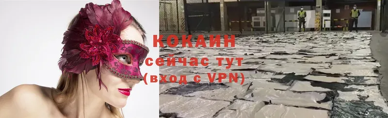 КОКАИН Fish Scale  купить наркоту  ОМГ ОМГ как войти  площадка как зайти  Соликамск 